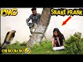 Fake snake prank video 🐍 king cobra snake prank on public !! viral snake prank video on cute girls