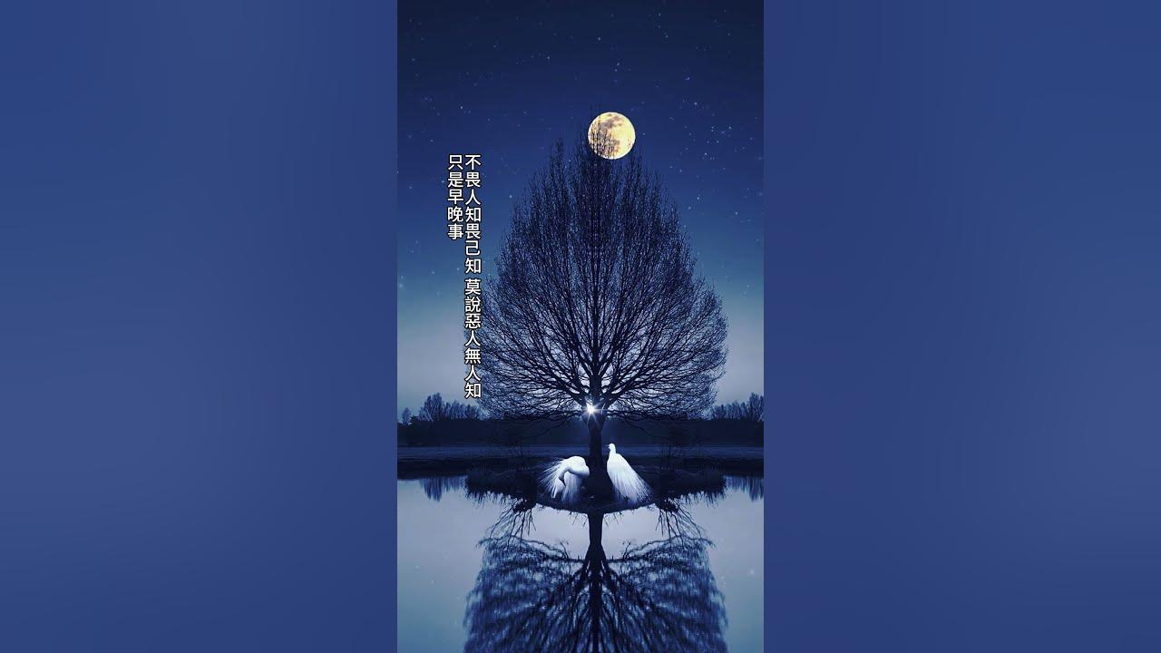 蒼天饒過誰