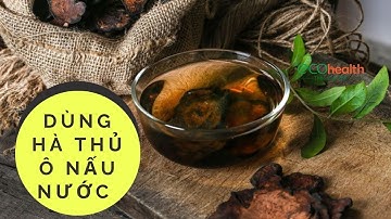 Cách Dùng Hà Thủ ô Nấu Nước Uống
