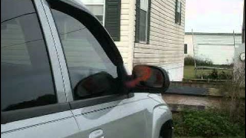 Cardinal attacking car mirror