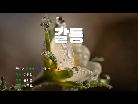 [은성반주기] 갈등 - 이선희 /MR/가사