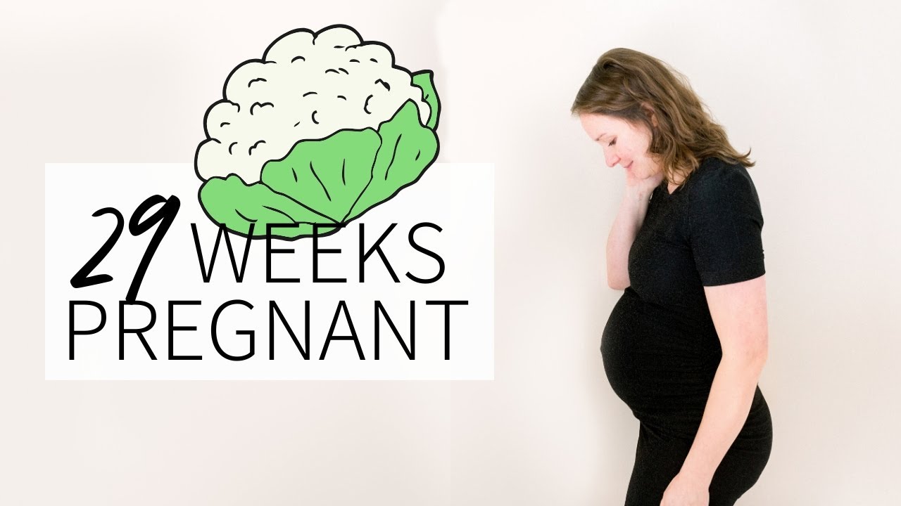 29 WEEK PREGNANCY UPDATE YouTube