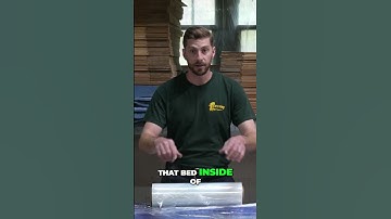 Essential Tips for Securing Your Sleeper Sofa! 🛋️🔒