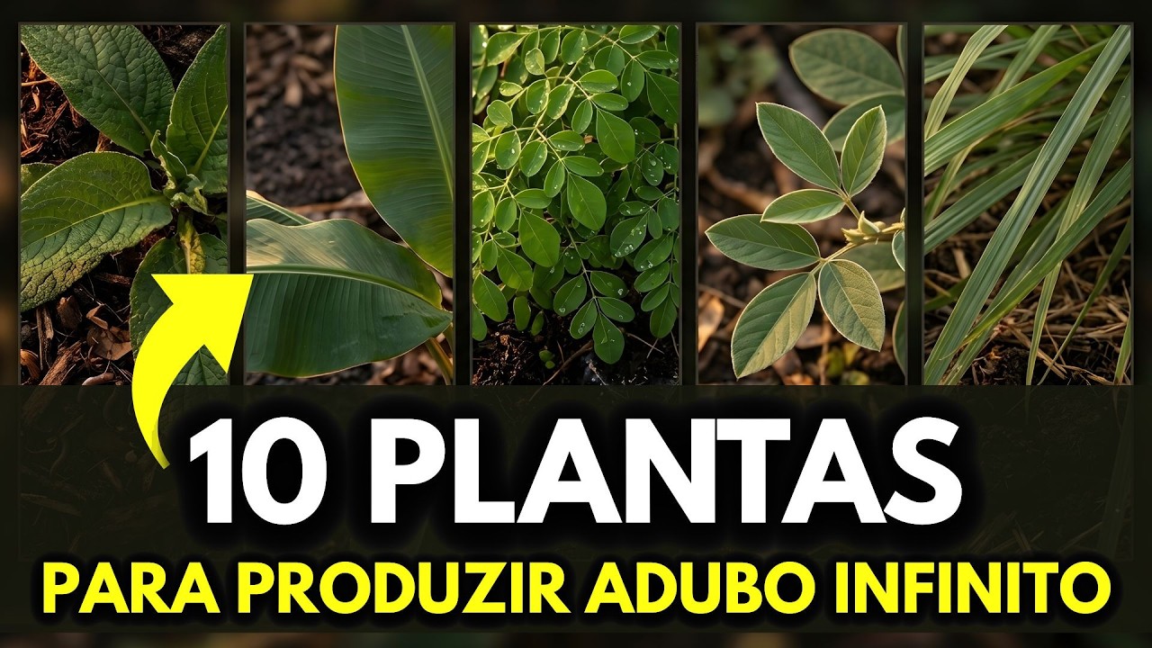10 Plantas Revolucionárias Para Produzir ADUBO INFINITO no Seu Quintal