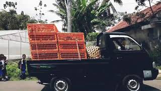Not Finished Short  Desa Girikulon Secang Magelang   Youtube