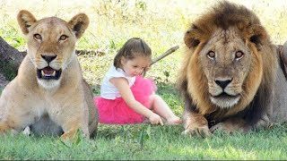 חיות מחמד מסוכנות שיש לילדים | טופטן