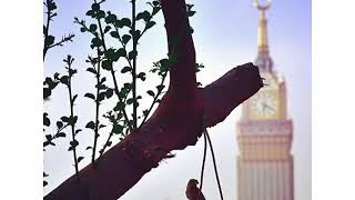 Sura : Noah By Shaikh : Said AL-Khateeb