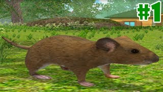 Mouse Simulator : Rat Rodent Animal Life - Android/iOS - Gameplay Episode 1 screenshot 4