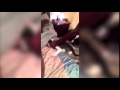 Shows cat beaten and choked