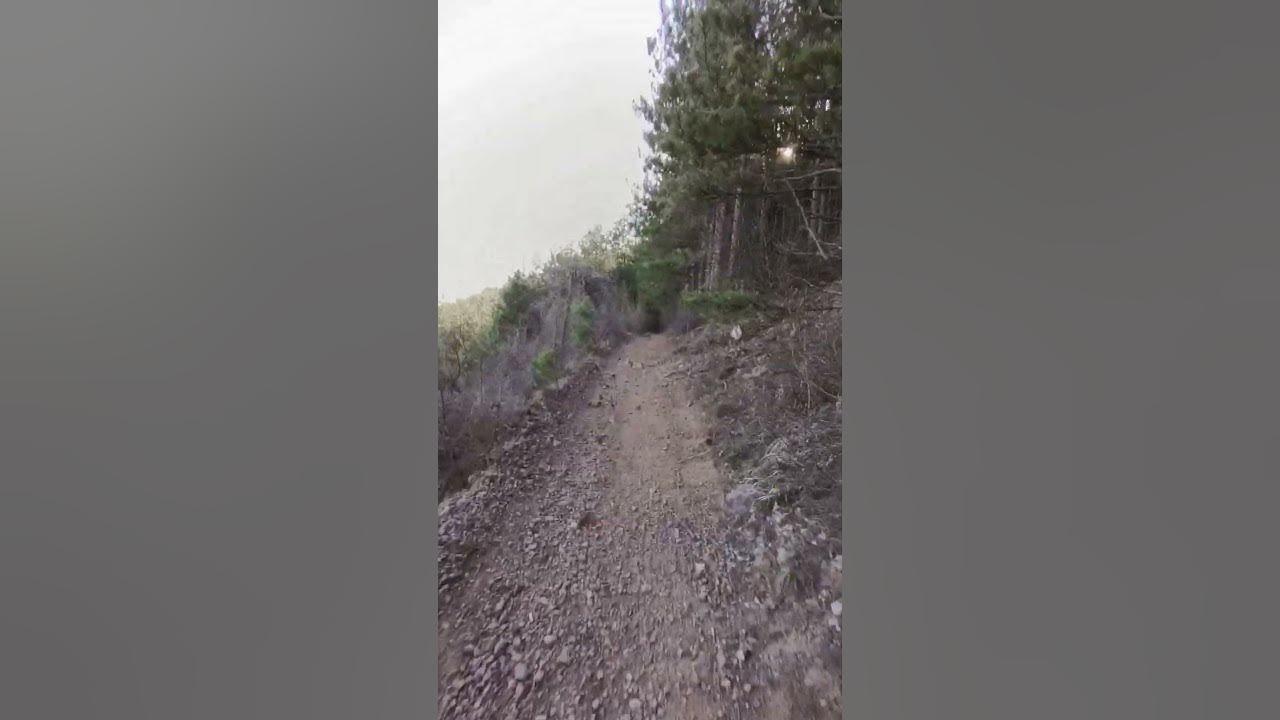 Каране на колело в Голо Бърдо #bulgaria #bike - YouTube