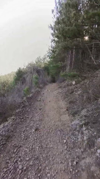 Каране на колело в Голо Бърдо #bulgaria #bike - YouTube