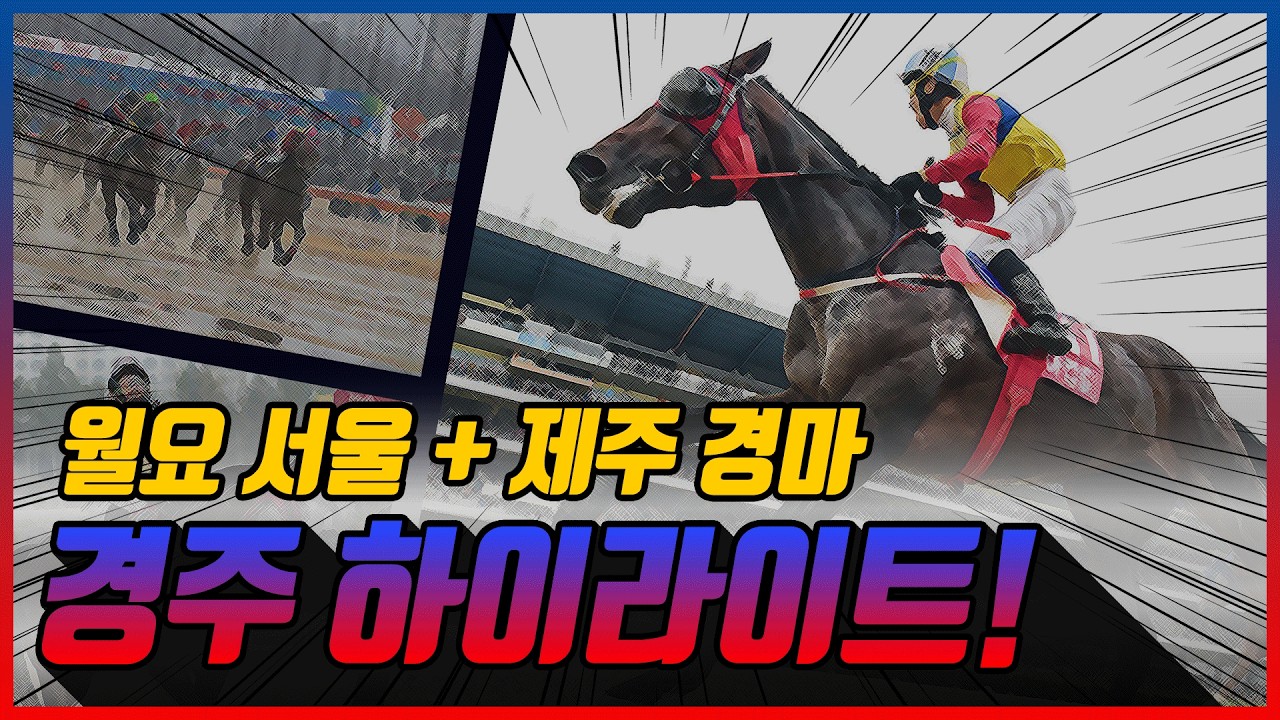 [월요 경마] 2026년 8월 17일 월요 경주 하이라이트 #경마 #한국마사회 #하이라이트