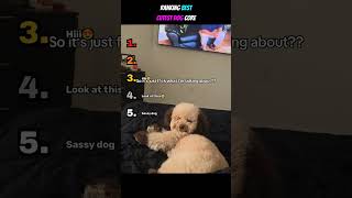 Ranking “Dog Core” Moments 🐶 #1 Is Pure Happiness 🥹