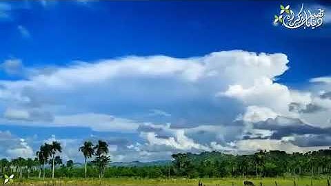 تلاوة خاشعة من سورة الفرقان  القارئ عبدالله عبد الكريم المطوع