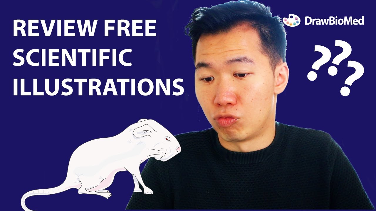 Free Scientific Illustrations Reviewed by Scientific Illustrator | Free Medical Illustrations