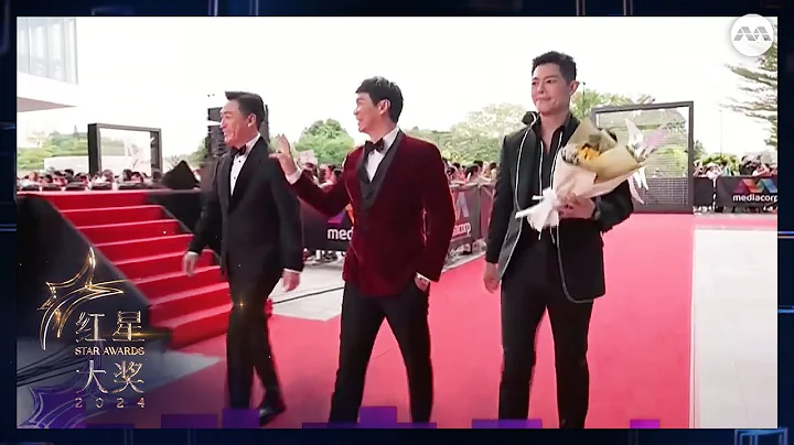 Arrival: Rayson Tan, Brandon Wong, Zhang Yaodong | Star Awards 2024 Walk Of Fame - DayDayNews