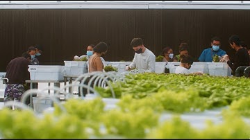 Empowering Futures: How San Andreas High’s Career Academy Transforms Lives