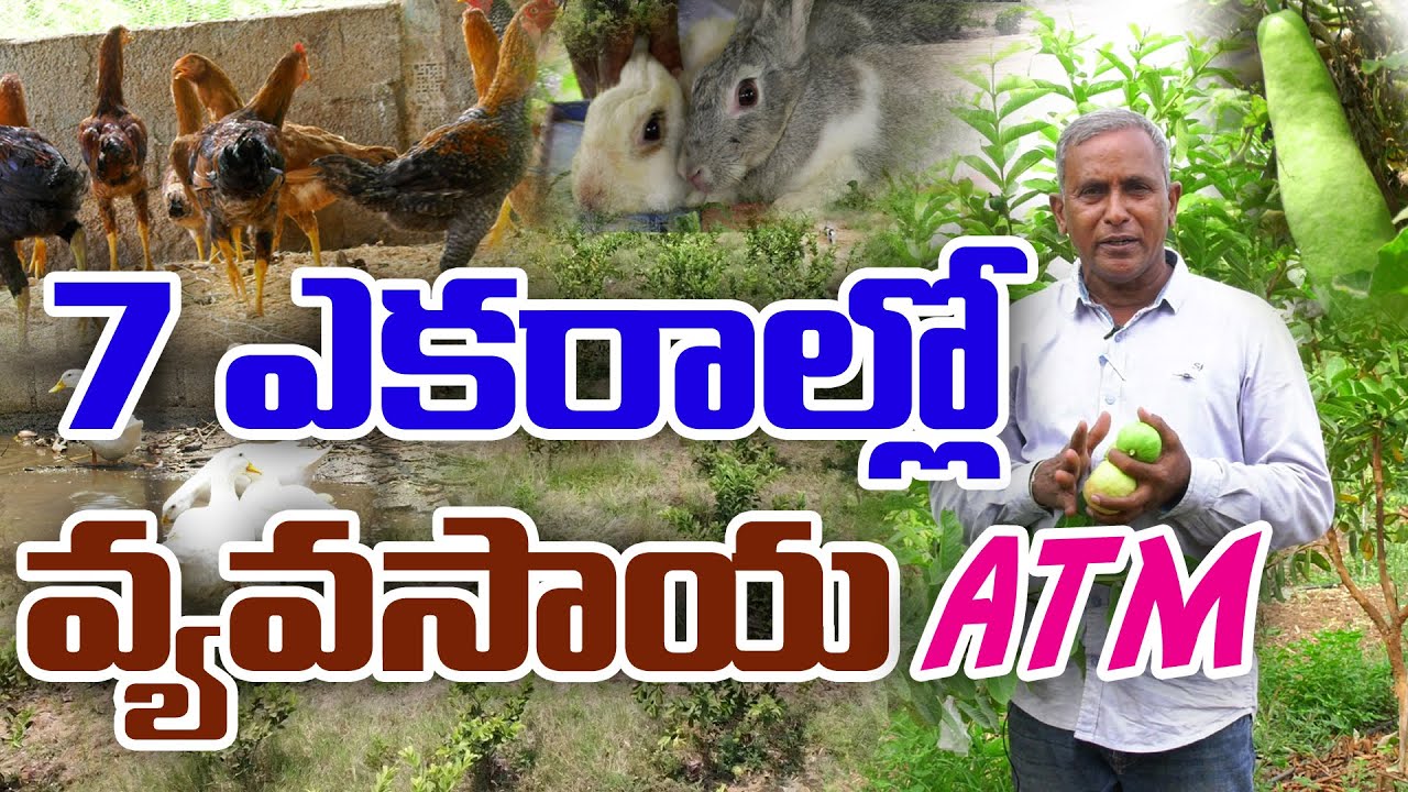 సమగ్ర వ్యవసాయం || 365 రోజుల్లో ప్రతిరోజు రూ. 5 వేలకుపైగా రాబడి || Integrated  Farming || Malla Reddy