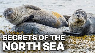 Secrets of the North Sea