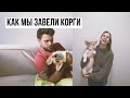 КОРГИ первые месяцы жизни | ЧТО НУЖНО ЗНАТЬ и К ЧЕМУ ГОТОВИТЬСЯ