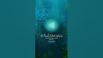 ‪ياسر الدوسري _ ماتيسر من سورة الأحزاب #quran #القرآن #القرآن_الكريم #قران_كريم #اكسبلور #shortvideo
