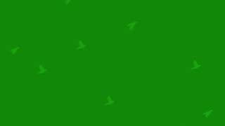 Green Screen Birds Flying || Birds Flying Green Screen || Birds flying animation effects