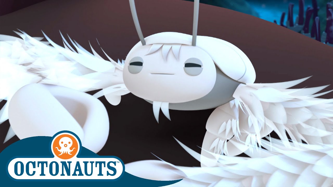 Octonauts The Yeti Crab Cartoons for Kids Underwater Sea Education YouTube