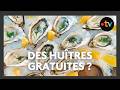 Grande opération "huîtres gratuites" pour les particuliers