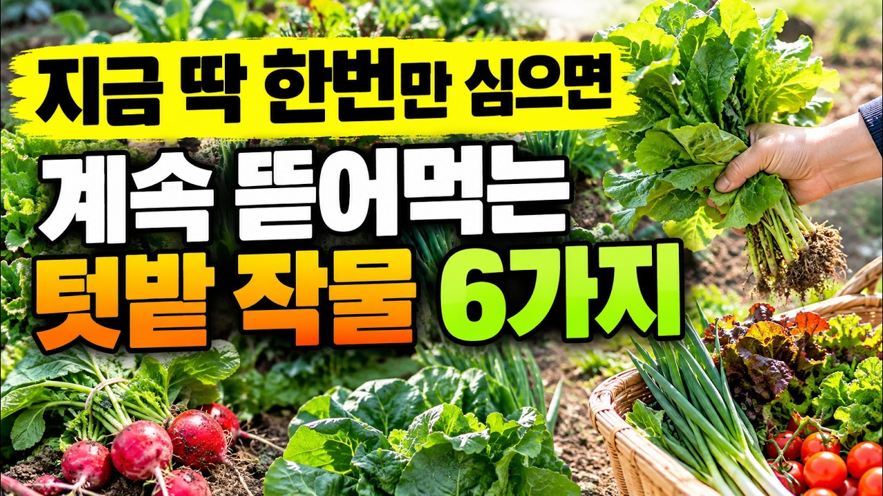 지금 딱 한번만 심으면? 배추·무 심기 놓쳐도 봄까지 뽕 뽑는 가을 텃밭 작물 6가지!