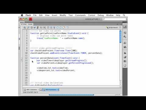 AS3_Video_API_Advance
