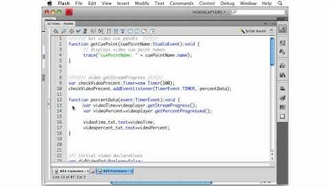 AS3_Video_API_Advance