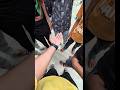 Ghar Par Party 🥳 | My First Vlog | Mahari Dhani Song #shorts #viral #minivlog