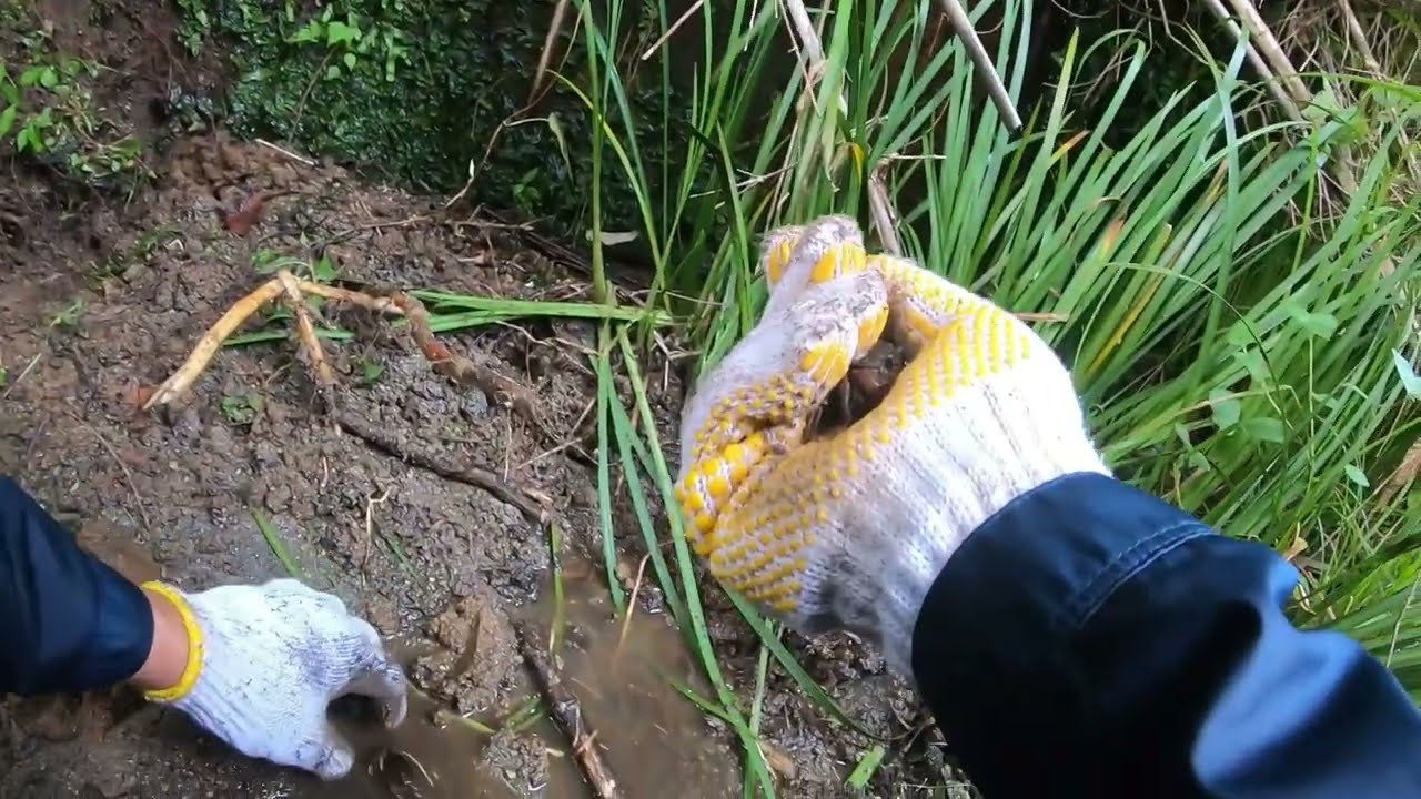 【＃2】廃墟の釣堀を再生しようとした結果…