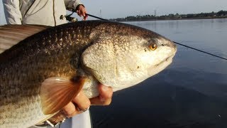 Reel Time Florida Sportsman - Jacksonville Slam Full Episode