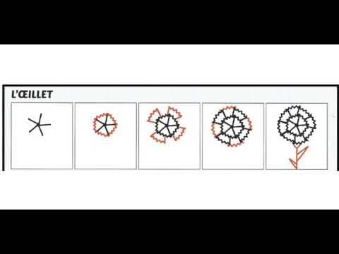 Vidéo: Comment Dessiner Un Oeillet