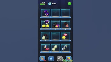 Fish Sort 3D: Match Puzzle Gameplay (Android, IOS)