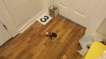 ECE 306 Project 10 Demonstration