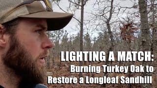 Burning Turkey Oak to Restore a Longleaf Sandhill by The Orianne Society 221 views 4 months ago 6 minutes, 25 seconds