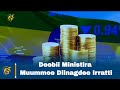 Deebii Ministira Muummee Diinagdee Irratti