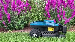 Робот газонокосилка Wiper I70. Умный итальянский робот. Поддерживает 8 газонов. Датчики высоты травы