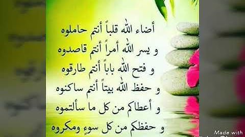 سورة الفاتحة وقراءة من سورة القصص للشيخ محمد الجودى