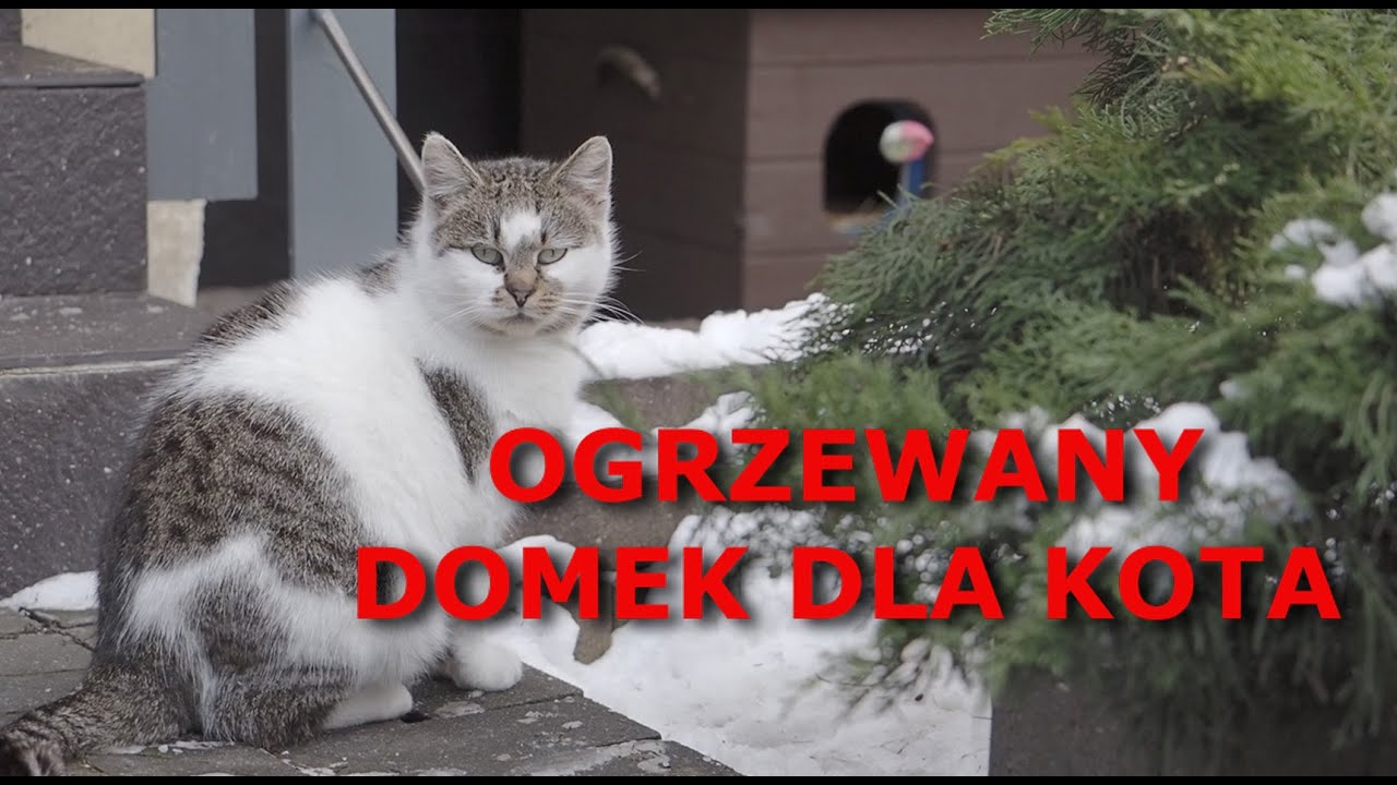 Ogrzewany domek dla kota