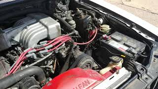 Foxbody Mustang with TFS stage 1 cam (Sound clip)