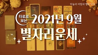 타로로 보는 9월 별자리운세