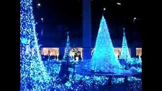 Caretta Blue Forest 2011, Shiodome, Tokyo, Japan