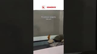 Battı Balık Yan Gider Resimi