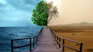 Tree No Copyright Video | Water Copyright Free Videos | Desert Stock Videos | Bare Tree Free Footage