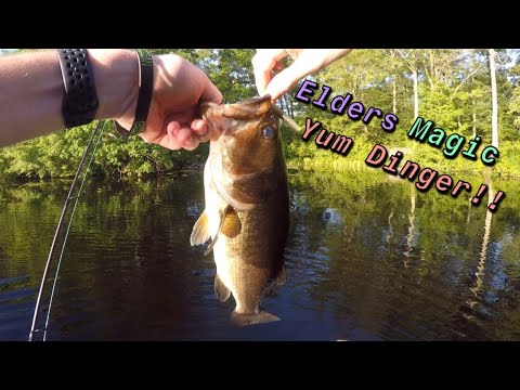 ELDERS MAGIC Yum Dinger is The Best! - 2021 Fishing Season