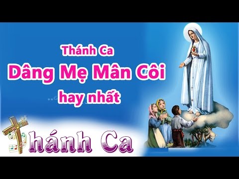 Video: Thật là một ngày lễ kính Đức Mẹ Đồng Trinh Maria