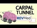 The Carpal Tunnel easiest way to learn! - Anatomy